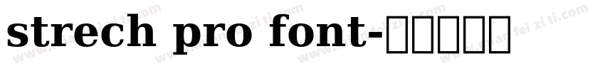 strech pro font字体转换